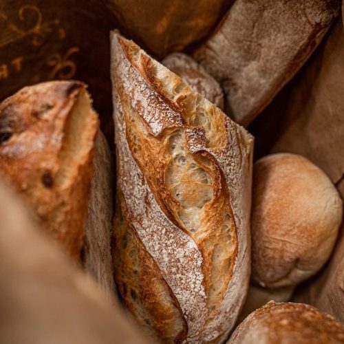 imgi_20_bas-peperzak-XNNurImW1xM-unsplash-pmvj5n2ox339wieehorwa64e22so9uckwkhc7sp4so